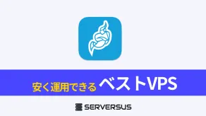 【2025年版】無制限で使い放題！「Jitsi Meet」セルフホストVPSを徹底比較！