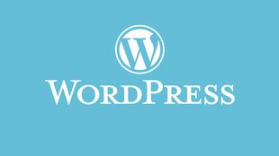 WordPress専用サーバーのサムネイル